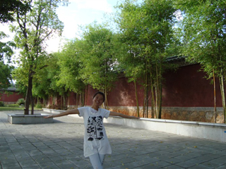 杨慧.jpg